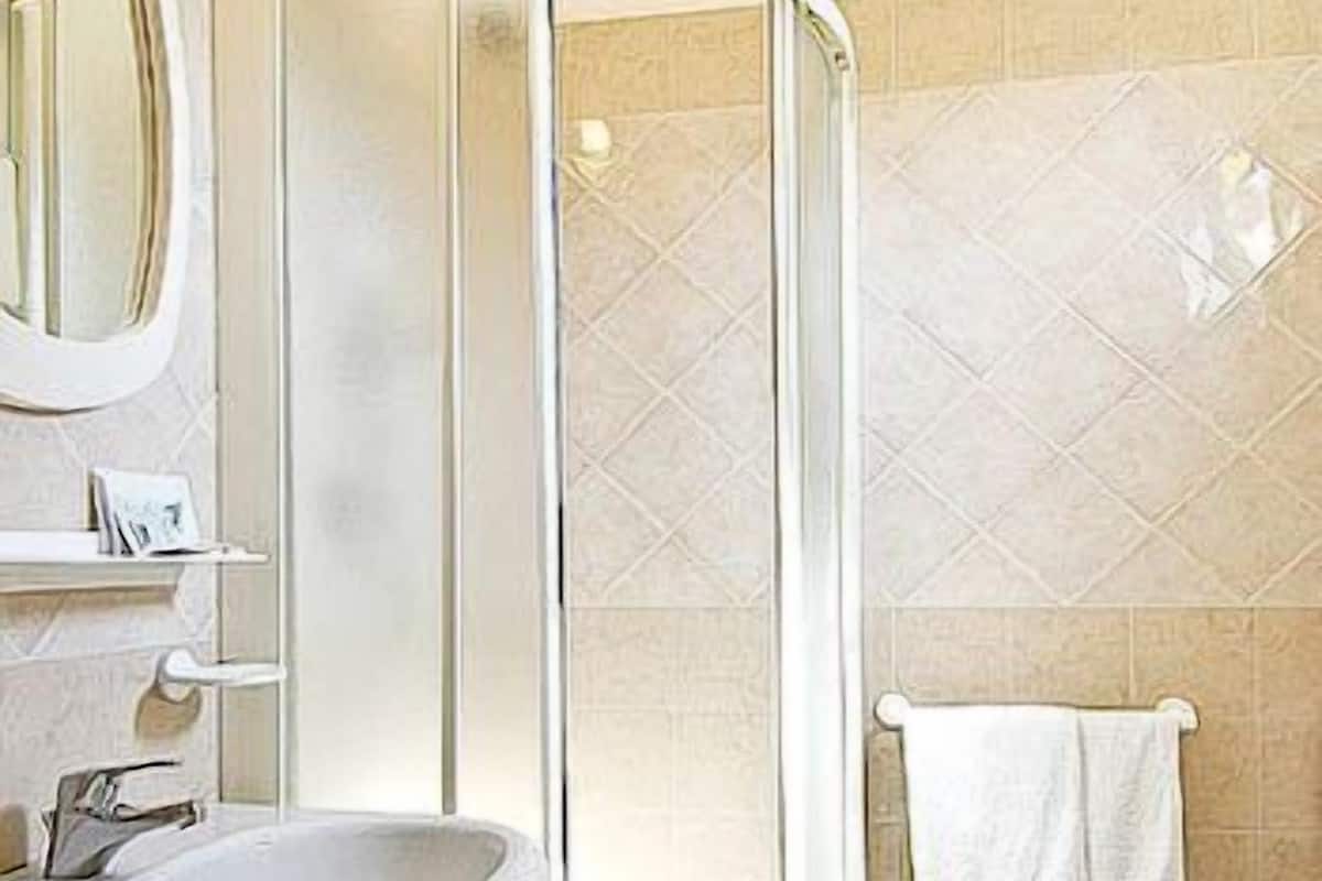 shower, hair dryer, bidet, towels