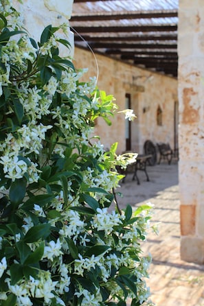 Terrace/patio - Masseria Tolla (Ostuni)