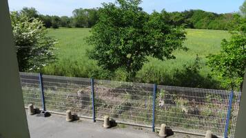 A view of a fenced area with a grassy field and trees in the background.