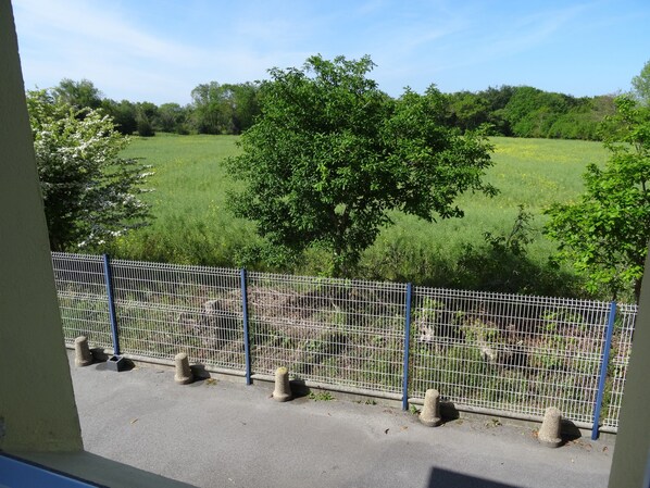 A view of a fenced area with a grassy field and trees in the background. - Brit Hotel Iroise (Plougastel-Daoulas)