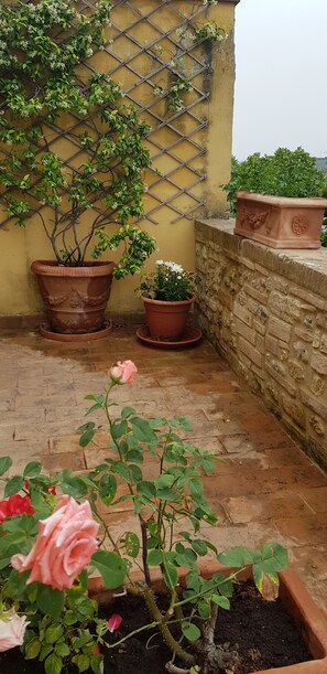 Quarto triplo | Terraço/pátio