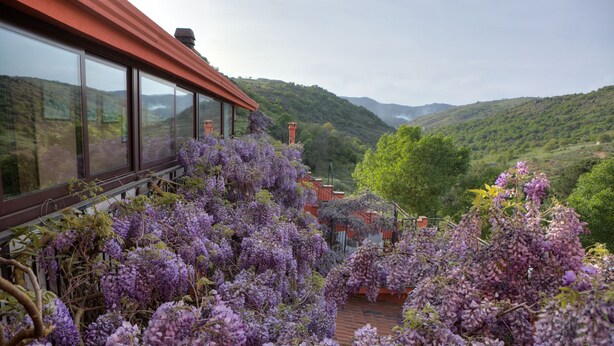 Ein Balkon mit violetten Glyzinien, der auf ein Tal mit Hügeln und ein Gebäude mit großen Fenstern blickt.