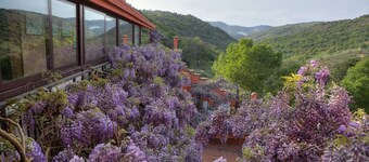 Agriturismo Al Poggetto