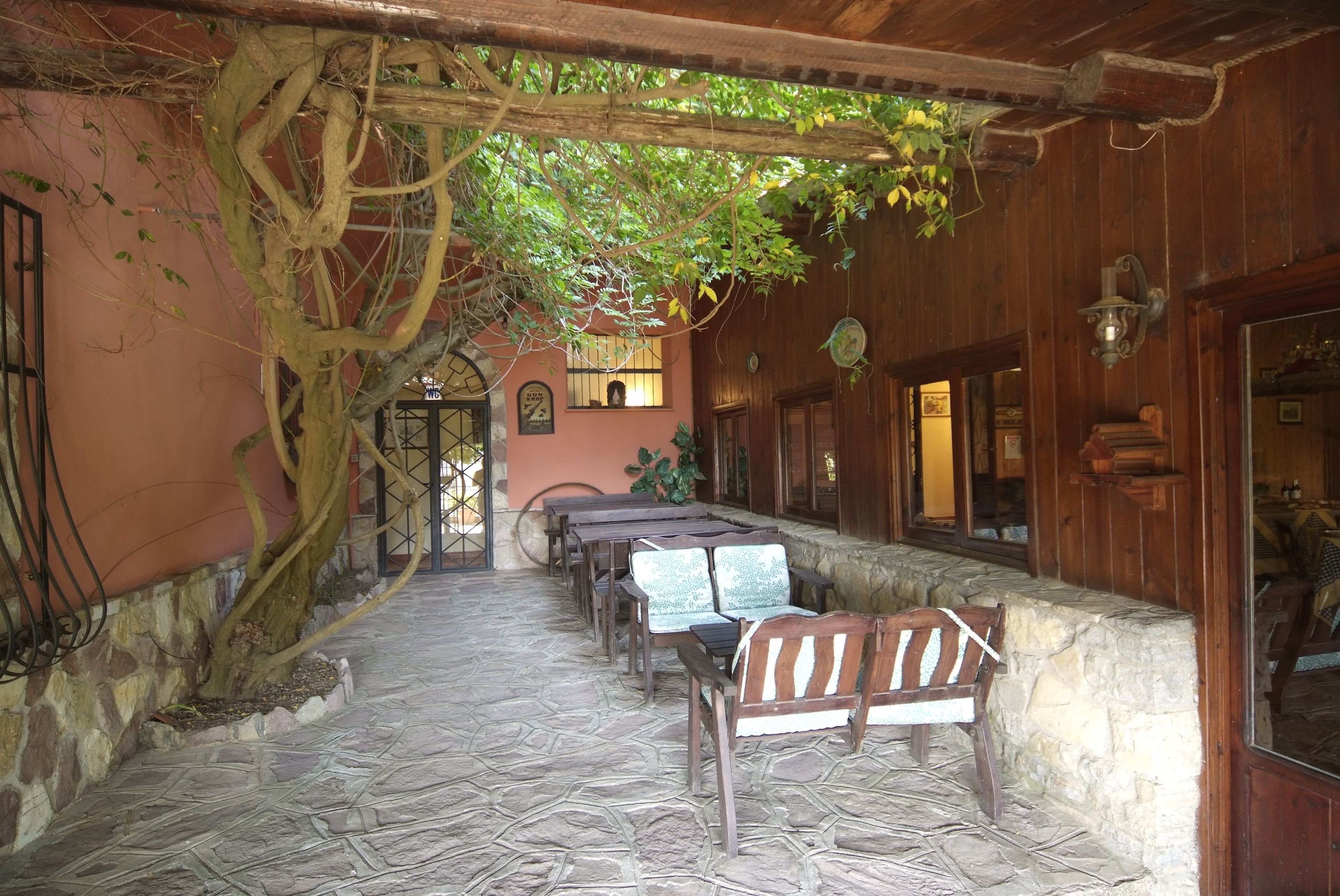 Un'area relax all'aperto con pavimentazione in pietra, panche in legno e un albero secolare con chioma pendente.