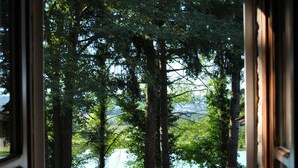 On peut voir, à travers une fenêtre, un espace verdoyant avec des arbres et une étendue d’eau.
