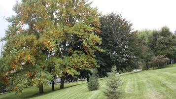 A park with a variety of trees, a well-maintained lawn, and a small hill.