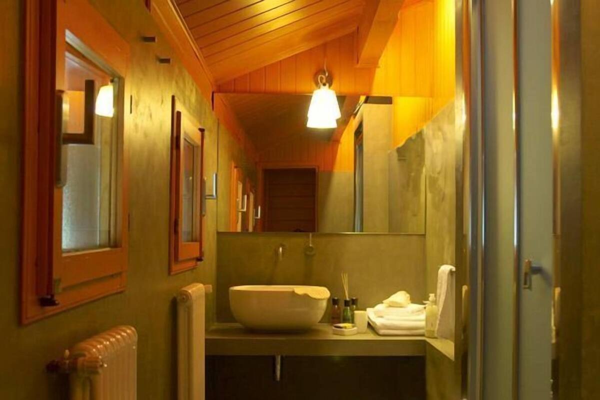 hair dryer, bidet, towels, toilet paper