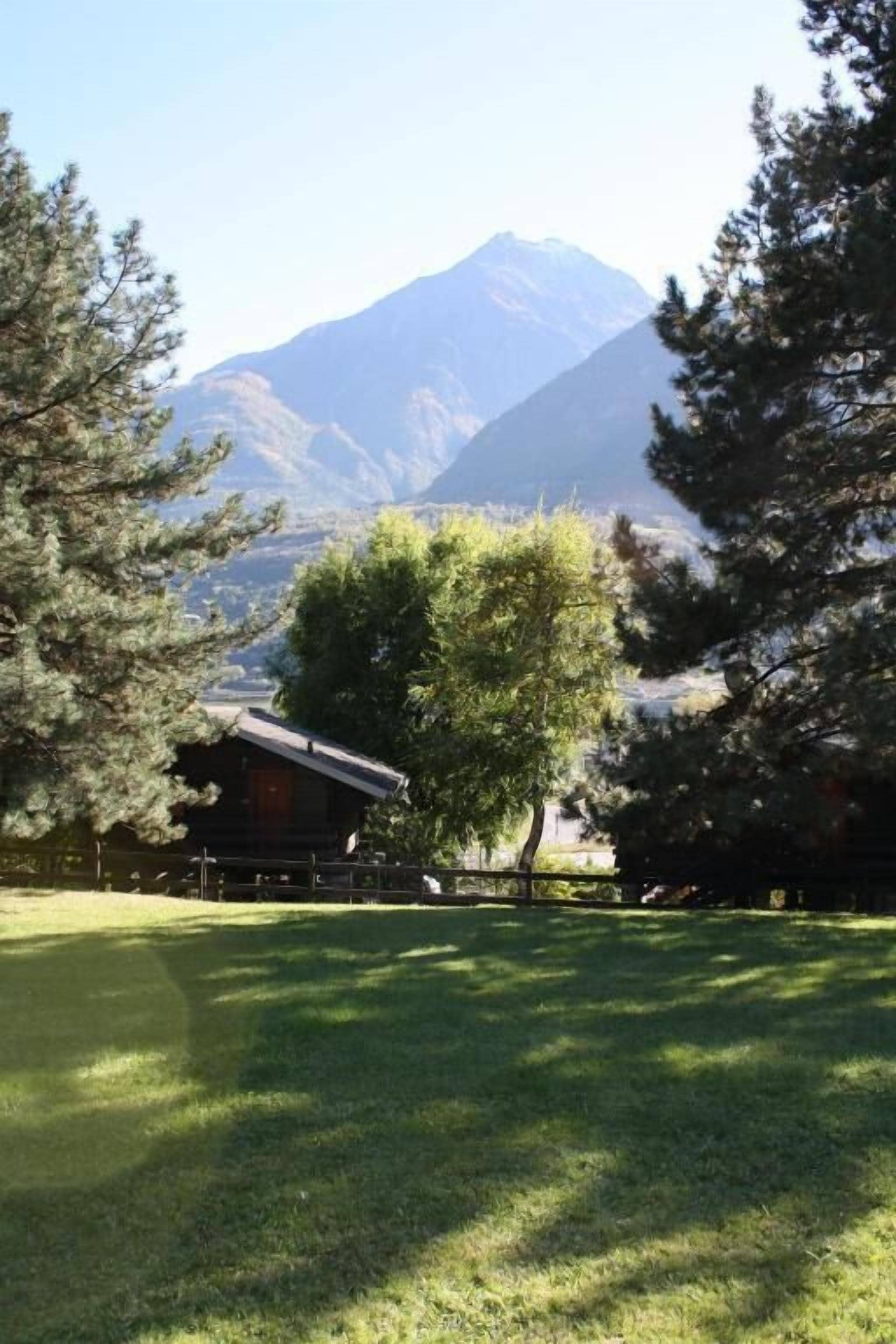 Une zone herbeuse avec un bâtiment et des arbres, et une montagne en arrière-plan.