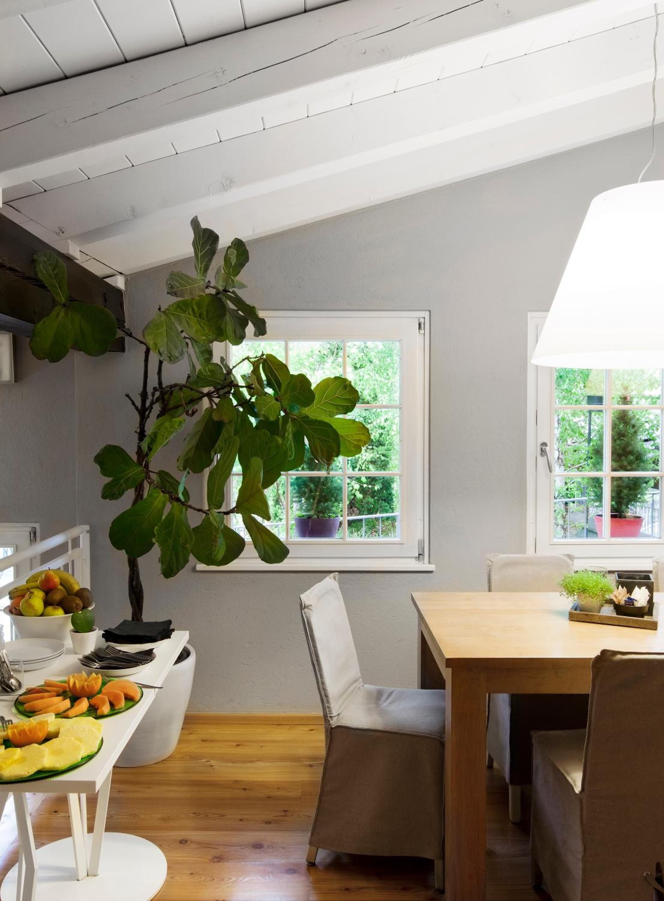 Une cuisine moderne avec un coin repas, une grande fenêtre donnant sur un espace verdoyant et une plante en pot.