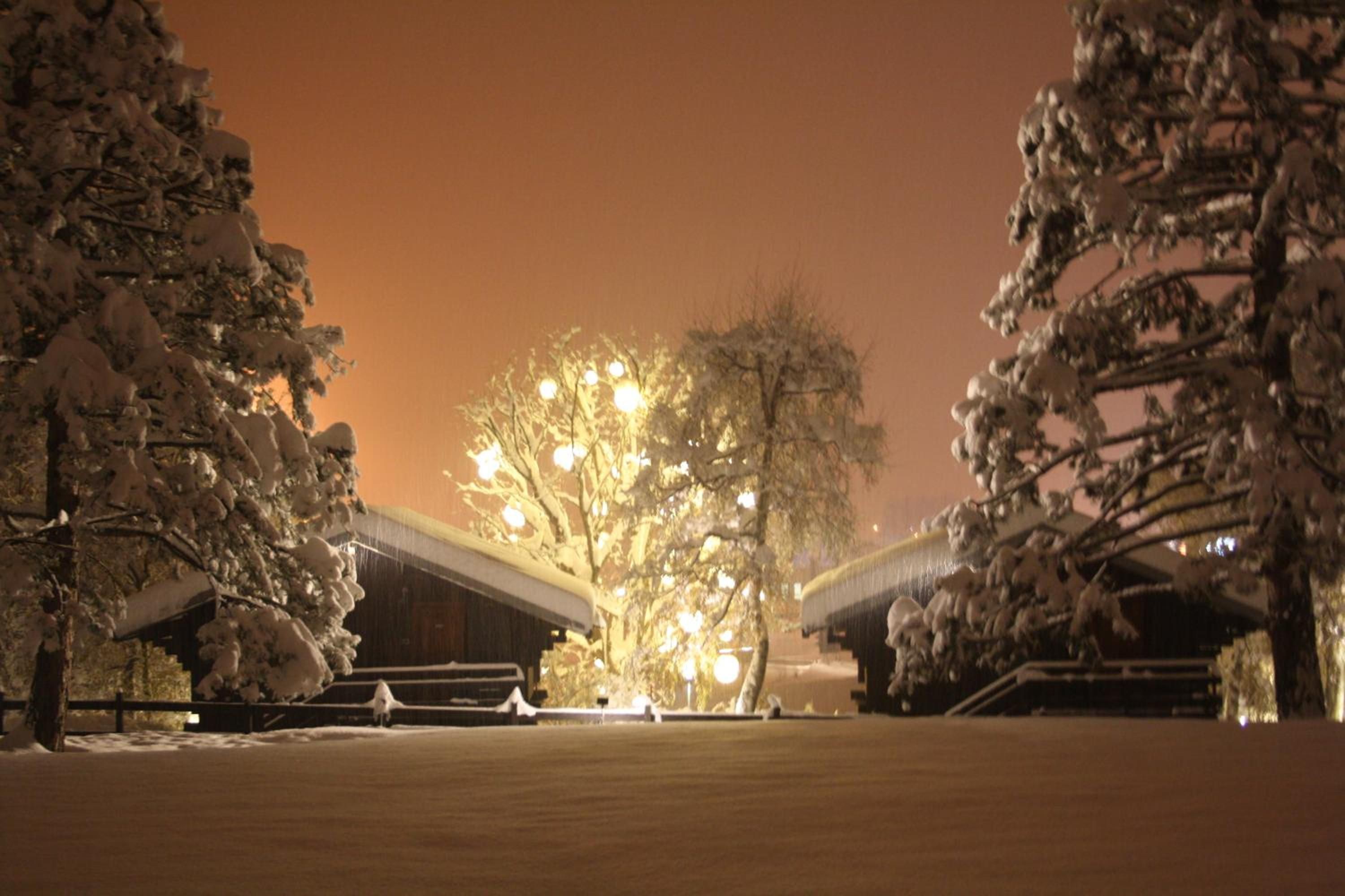 Paisagem coberta de neve com um edifício que apresenta uma grande árvore iluminada.