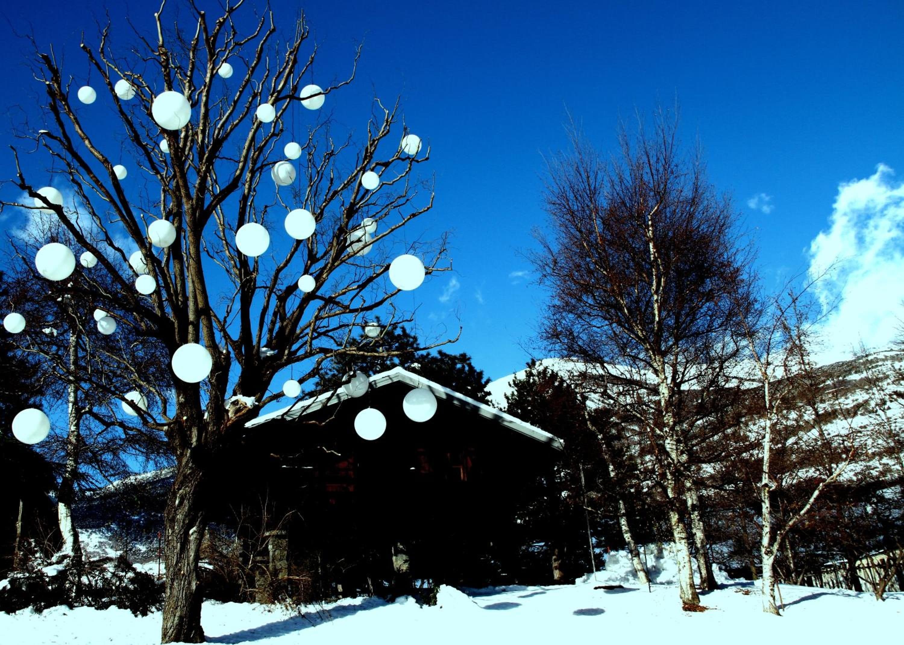 Foto - Hôtel Village
