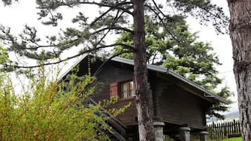 Eine rustikale Holzhütte mit Steinfundament, umgeben von üppiger Vegetation und hohen Bäumen.
