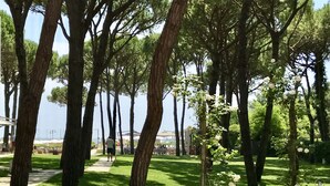 A wooden deck with a lounge chair and a small table, surrounded by trees and a view of the sea. - Hotel Mediterraneo (Jesolo)