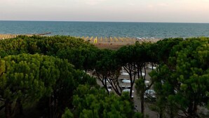 A beach with umbrellas and lounge chairs, surrounded by dense green trees. - Hotel Mediterraneo (Jesolo)