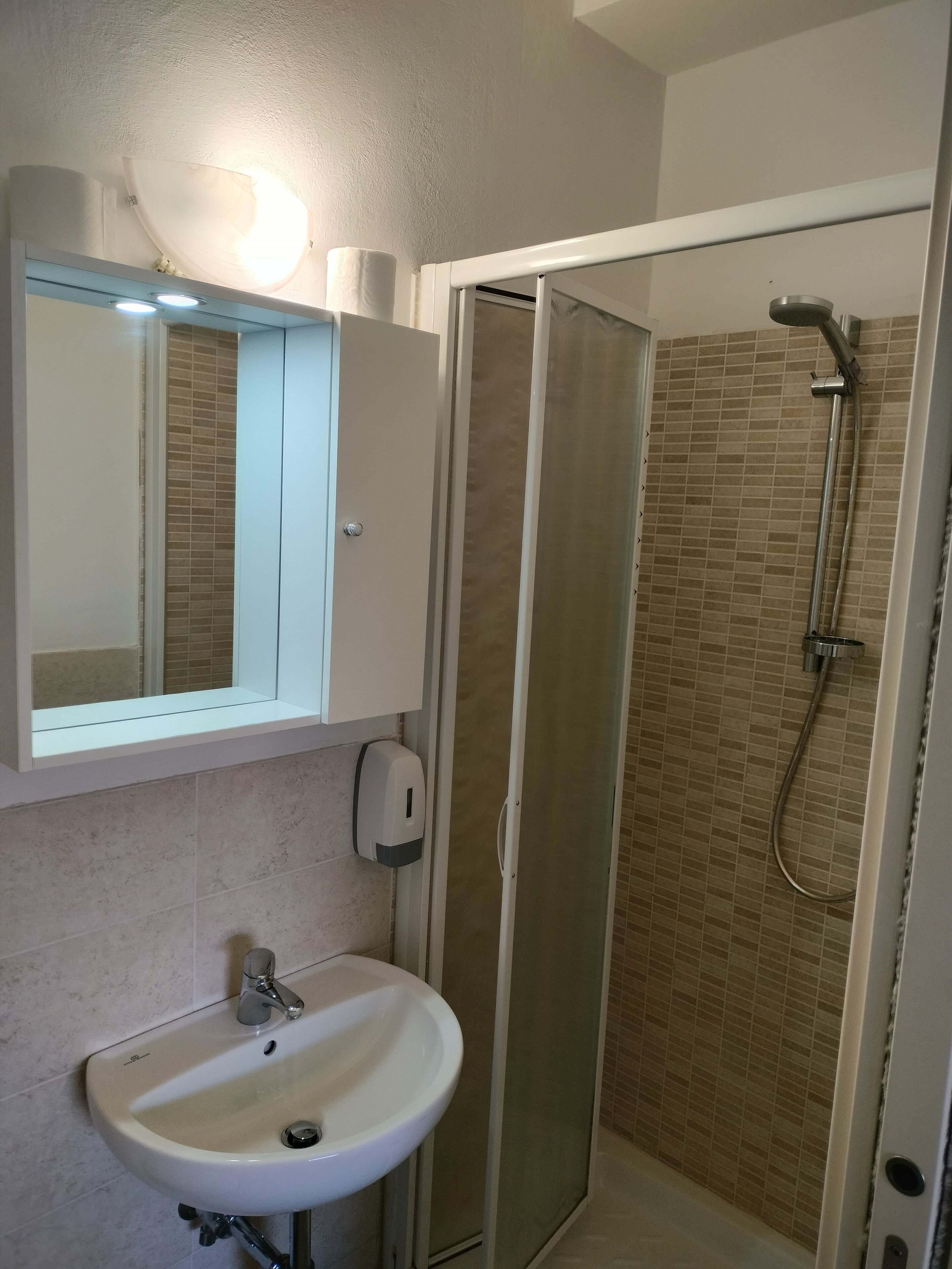 A bathroom with a white sink, a mirror, a shower with a glass door, and a soap dispenser.