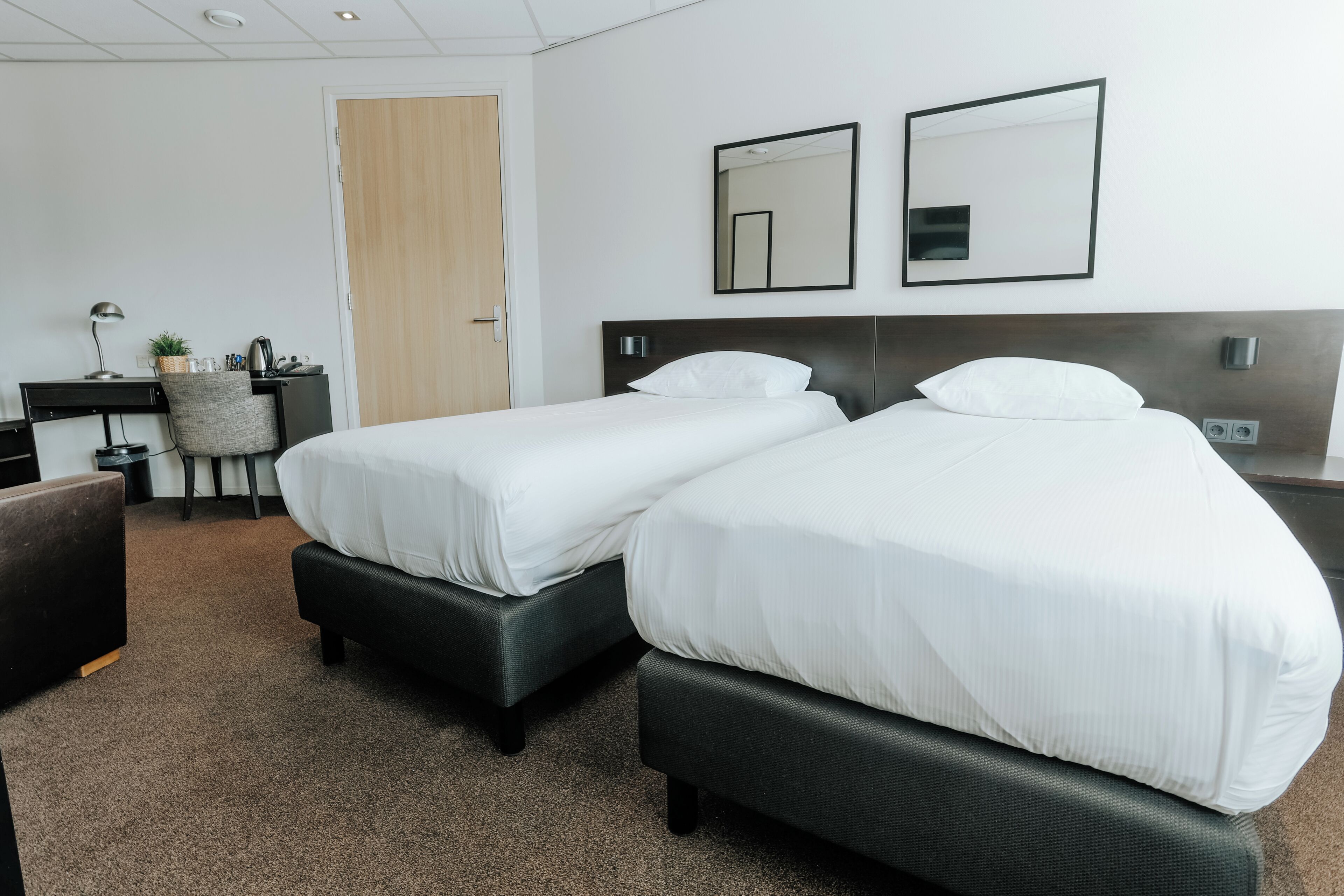 Une chambre d’hôtel avec deux lits simples, un bureau avec une lampe, une chaise et une petite plante.
