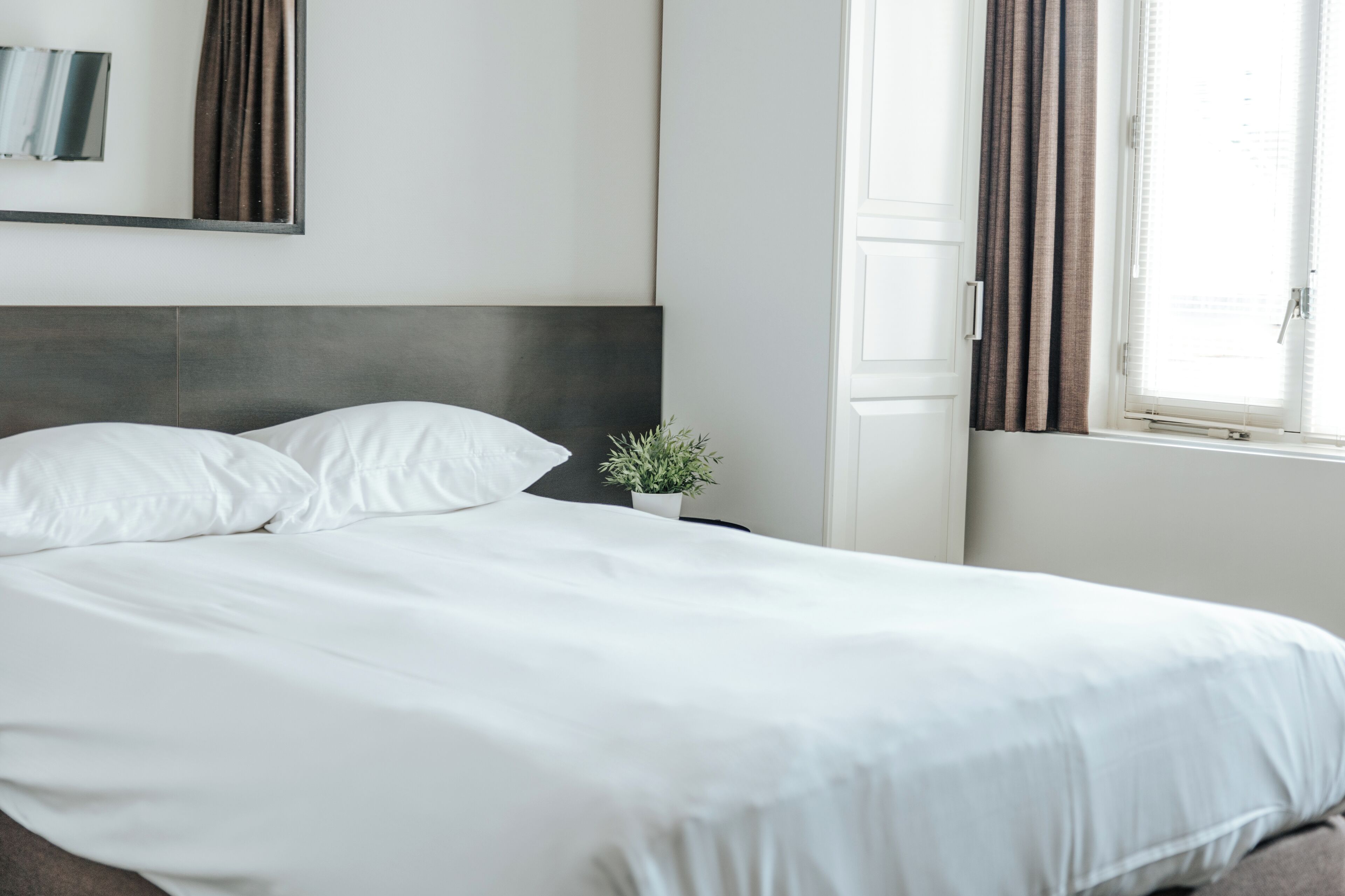 A neatly made bed with white linens, a dark headboard, and a small potted plant beside it.