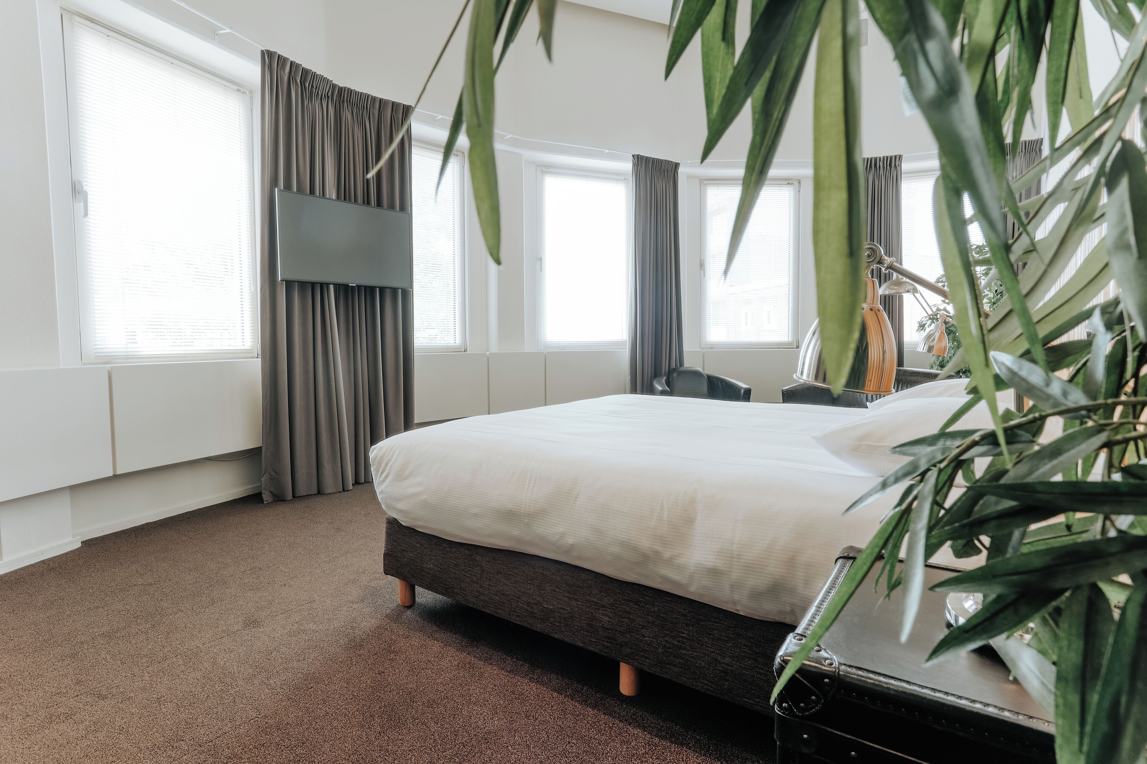 A bedroom with a large bed, a desk, and a potted plant.