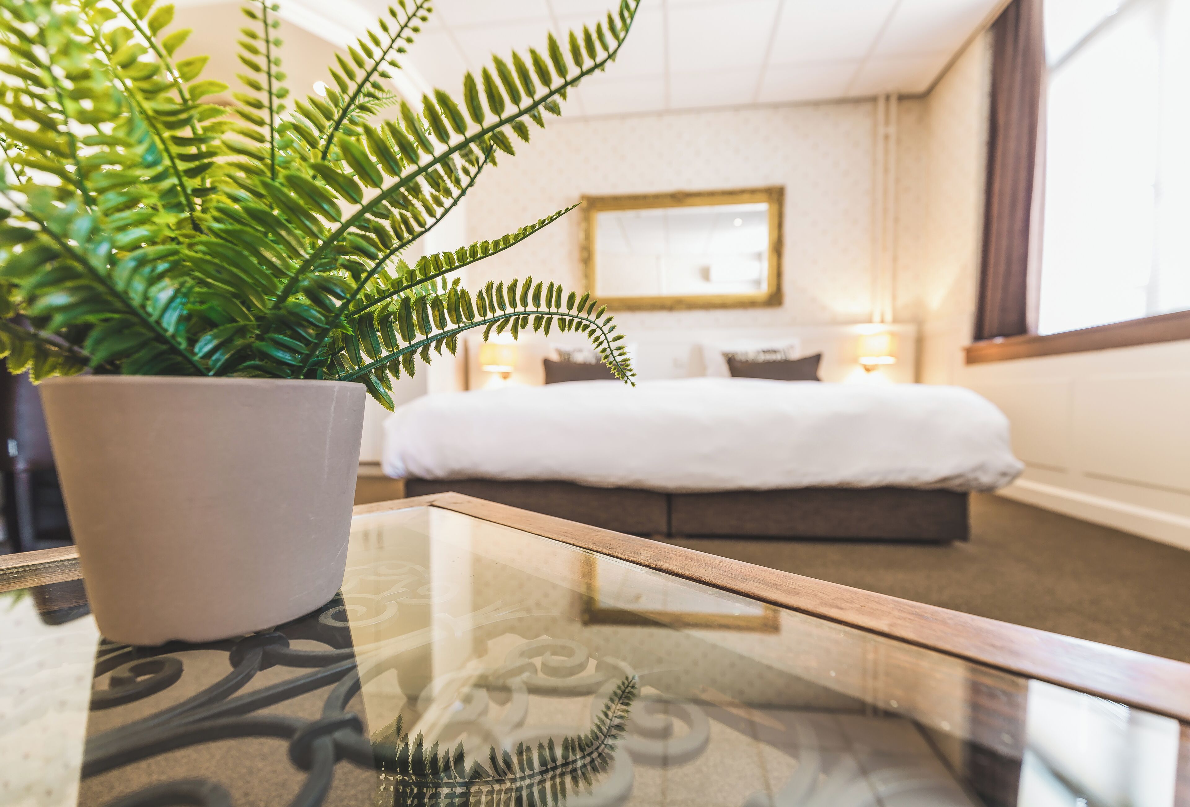 ألحفة محشوة بالريش وخزنة داخل الغرفة ومكتب ومكواة/لوح كي