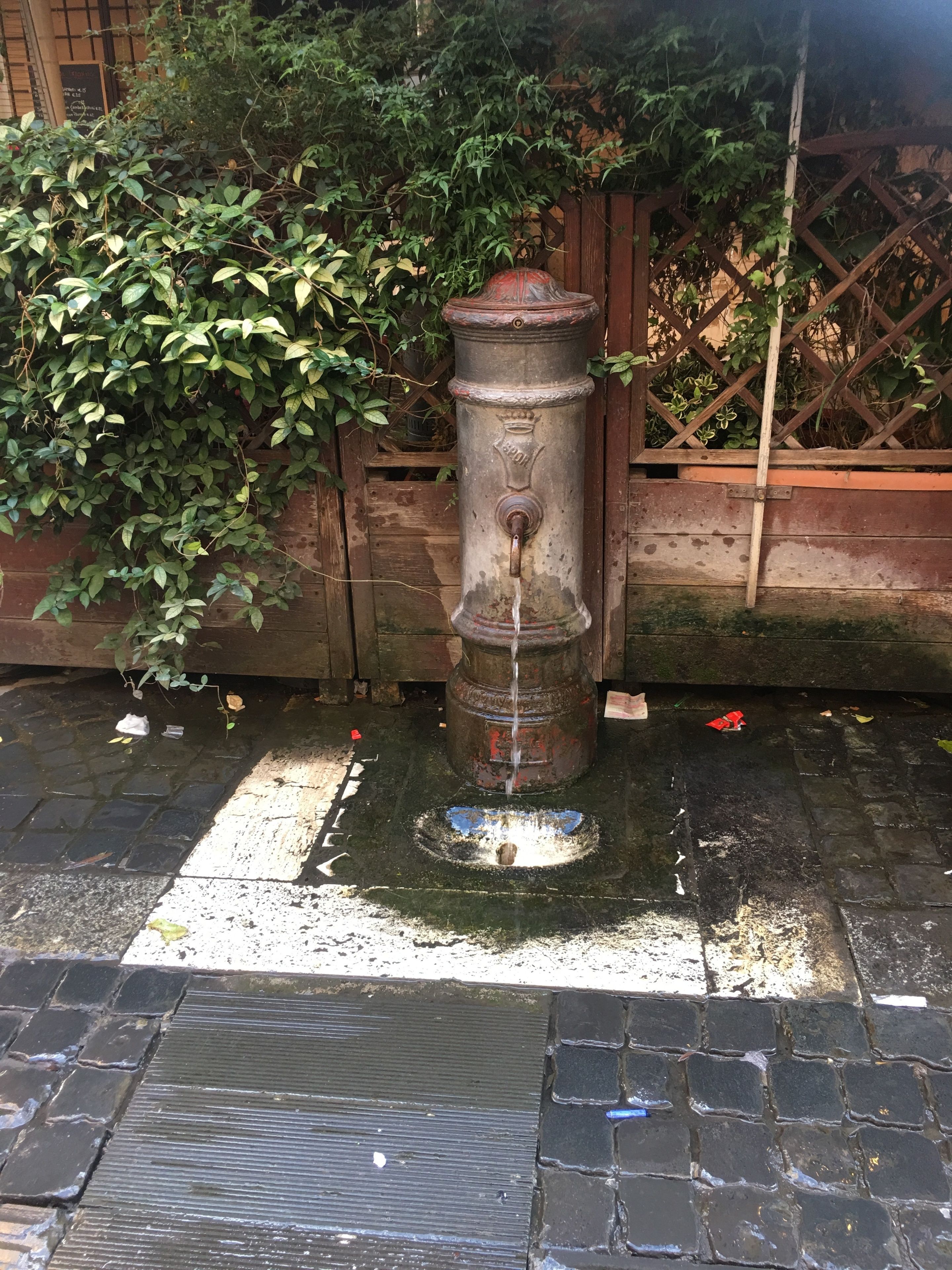 Photo - La Casa Di Amy