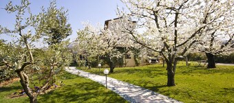 Villa Gesi