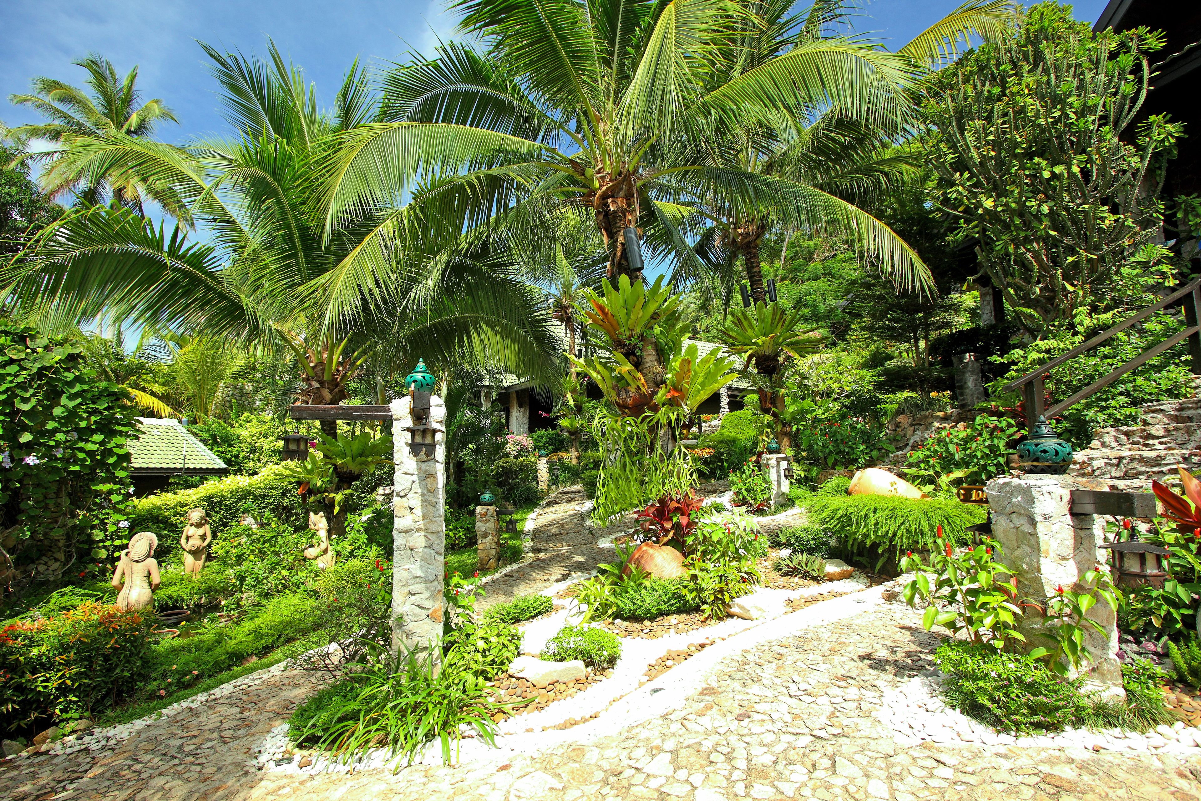 Foto - Boomerang Village Resort Kata