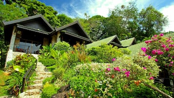 Jardin