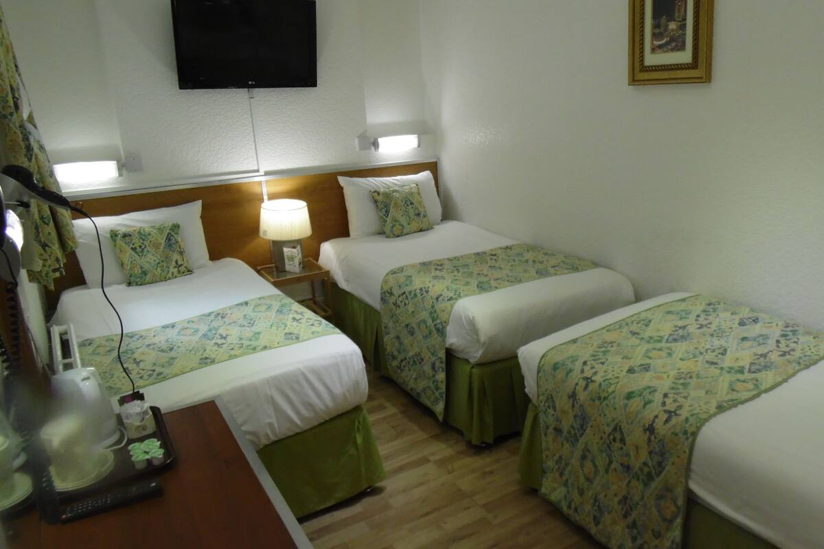 A hotel room with two single beds, a bedside table with a lamp, a TV mounted on the wall, and a small table with a phone and a plant.