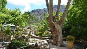 A courtyard with stone benches, potted plants, and a view of a hillside.