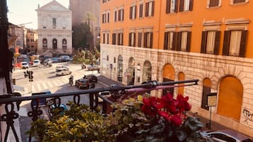 Vue depuis le balcon