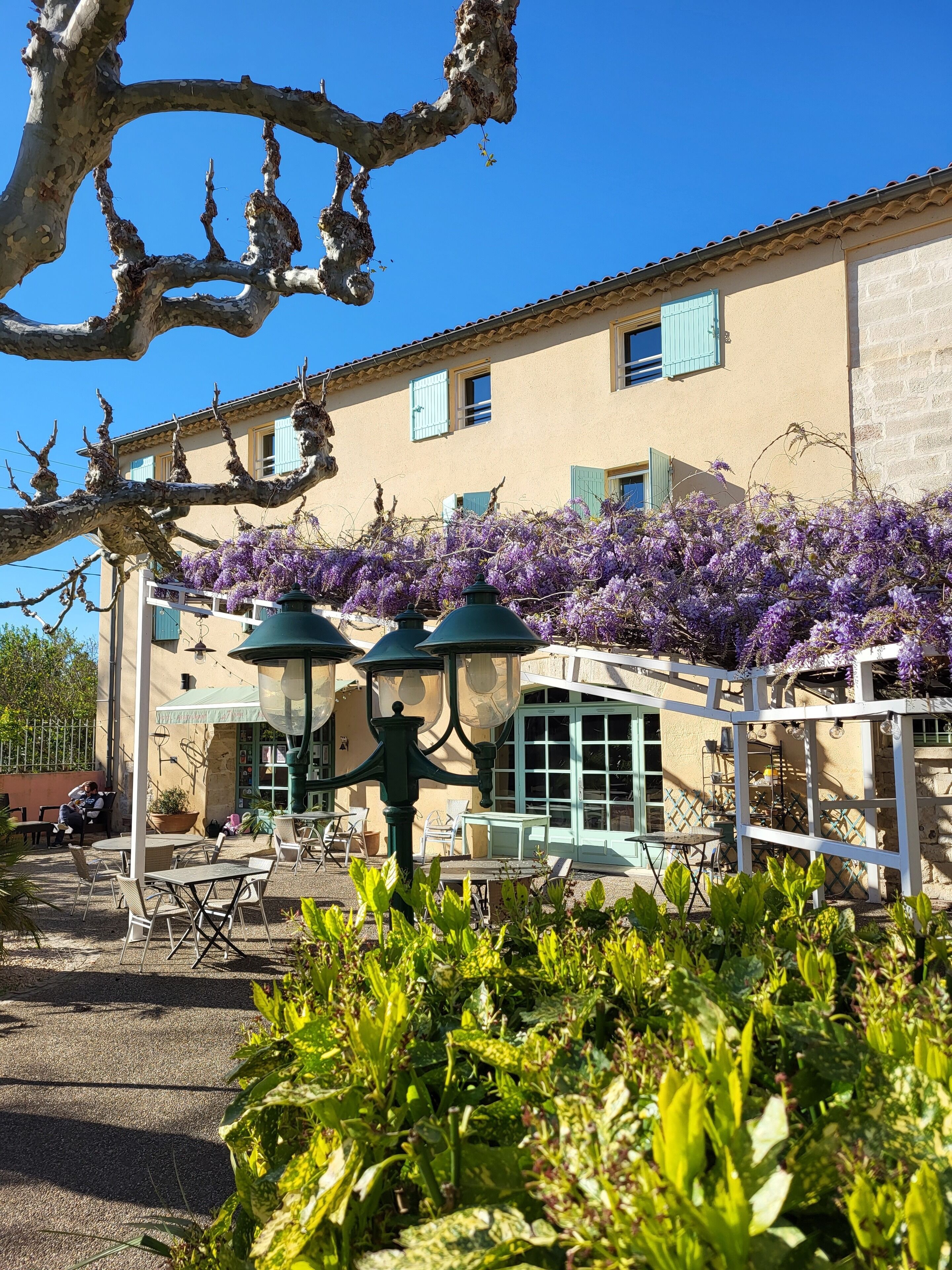 テラス / パティオ