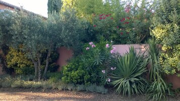 Jardín