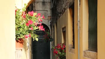 Detalle exterior