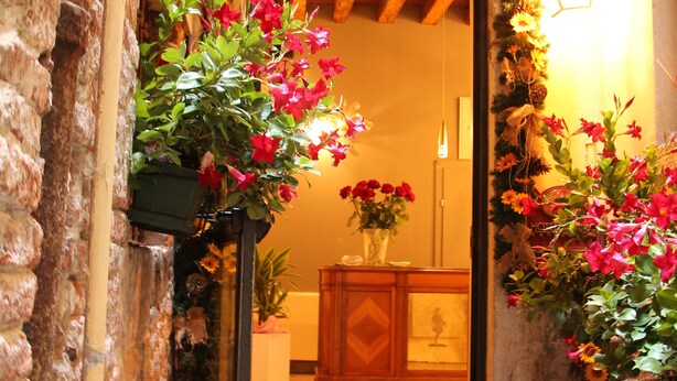 A narrow stone staircase leading to a wooden door with a red carpet, surrounded by potted plants and a hanging light fixture. - Hotel Tiepolo (Venice)