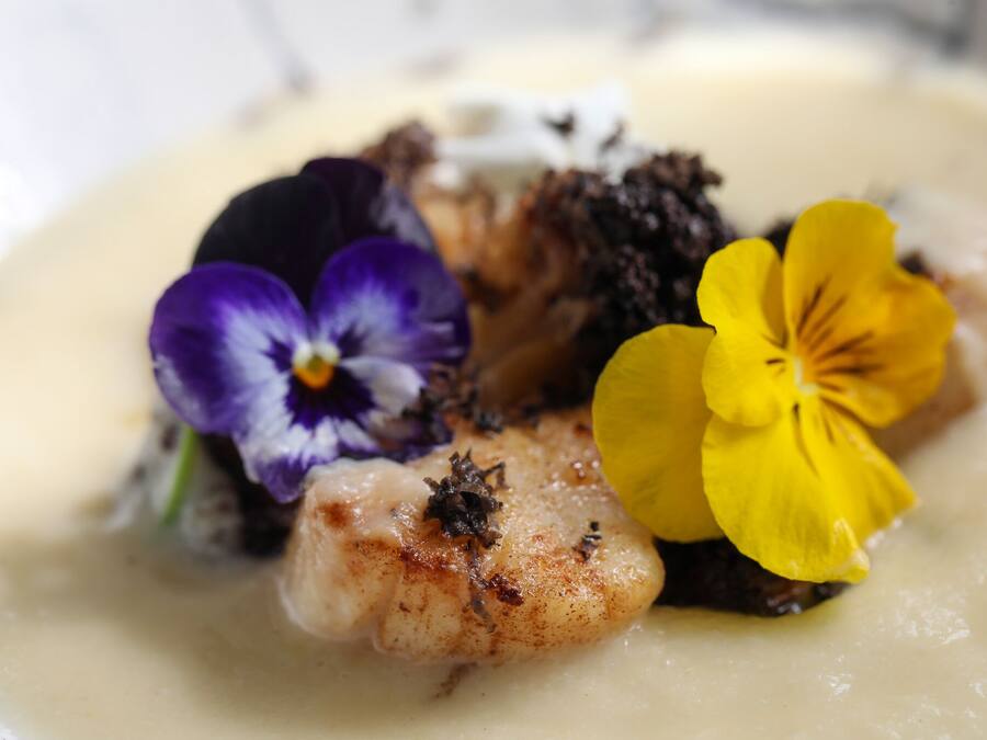 A dish with a creamy sauce, a piece of fish, and edible flowers.