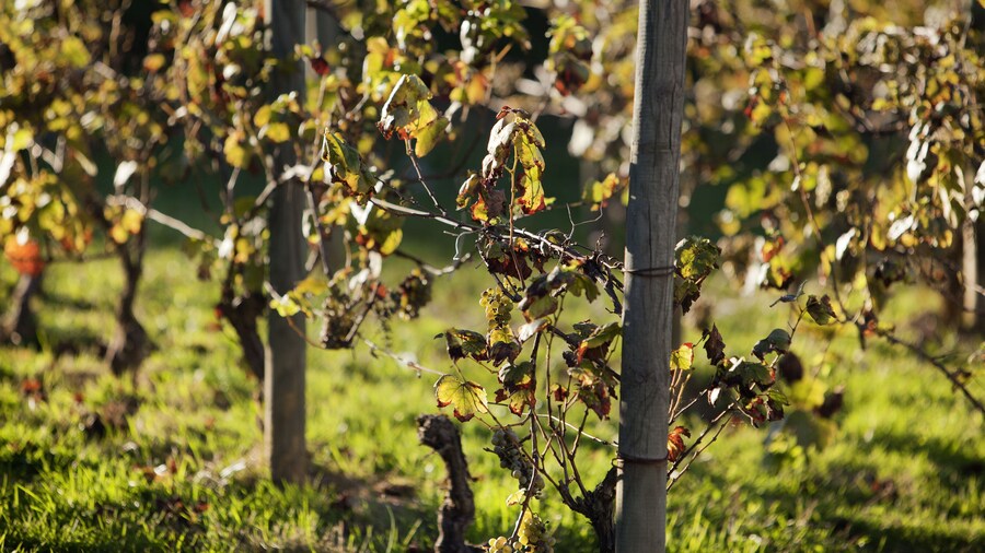 ibis budget Pouilly-en-Auxois