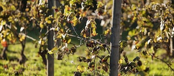 ibis budget Pouilly-en-Auxois
