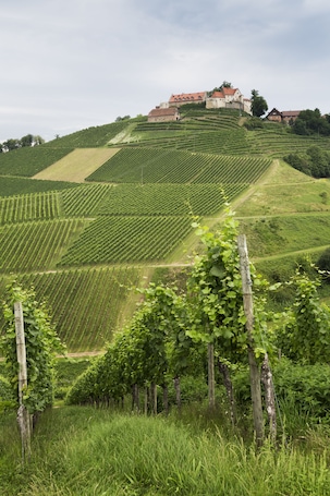 Exterior. ibis budget Pouilly-en-Auxois