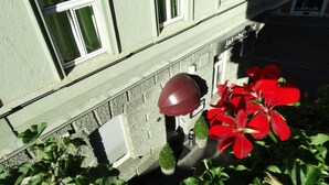 A building with a green facade, windows with white frames, and a red flower in the foreground. - Hotel Jakoberhof (Augsburg)