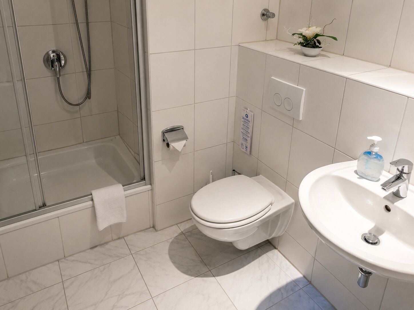 Hair dryer, towels, soap, shampoo