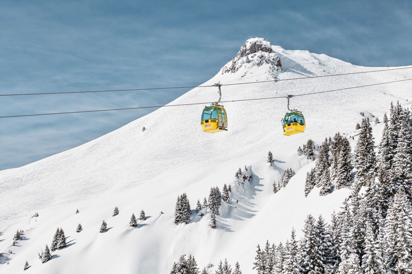 Ein verschneiter Berghang mit zwei gelben Skiliften und schneebedeckten Bäumen.