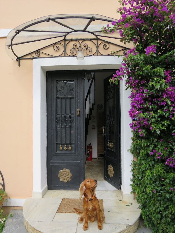 Animaux de compagnie acceptés