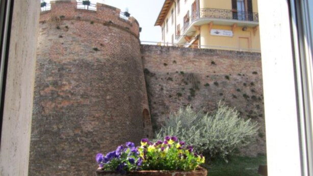 A brick wall with a potted plant in the foreground. - Serena (Riolo Terme)