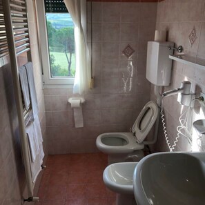 Shower, rainfall showerhead, free toiletries, hair dryer - Serena (Riolo Terme)