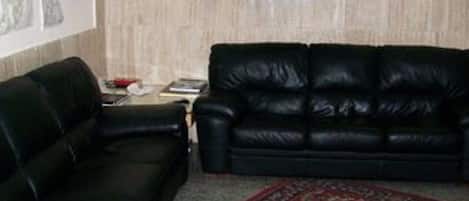A living room with two black leather sofas, a red patterned rug, and a wall-mounted plant.