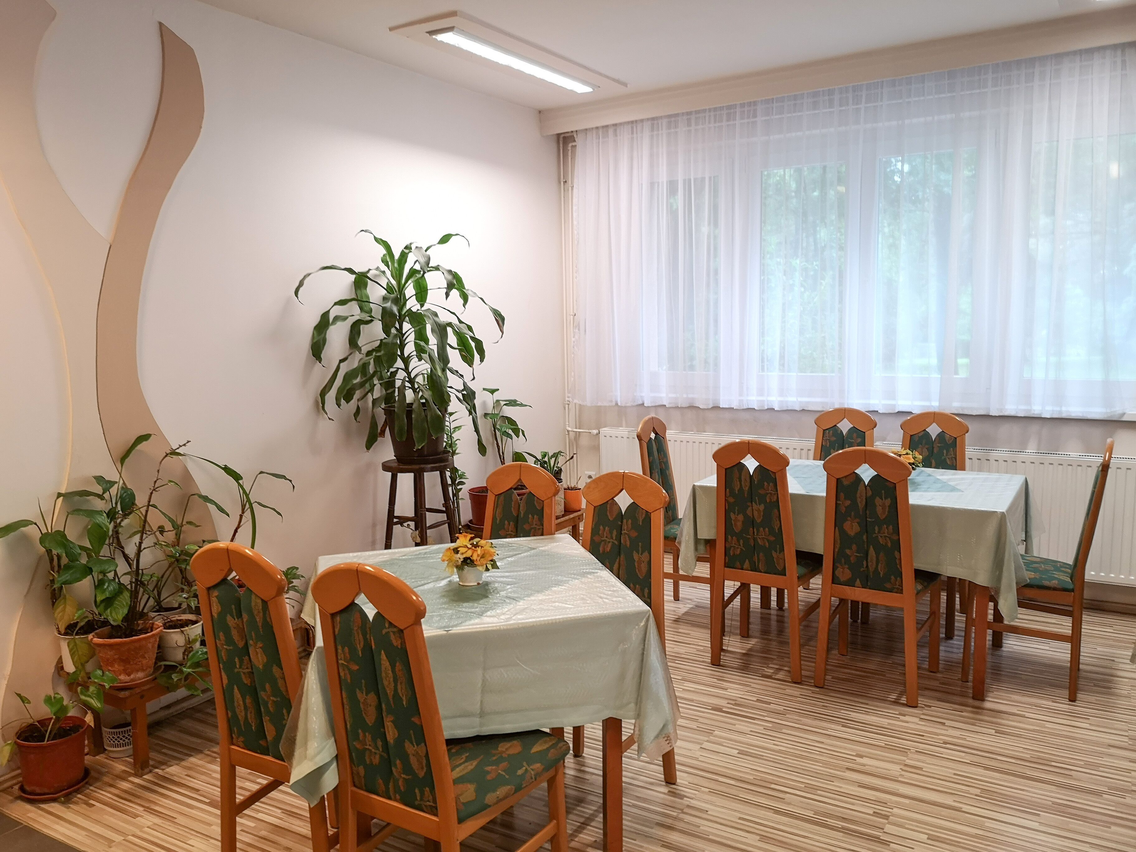 Un coin repas avec une table dressée pour six personnes, entourée de six chaises à l’assise recouverte d’un tissu à motifs floraux. Des plantes en pot sont disposées sur le sol, et une grande plante en pot est placée contre le mur.
