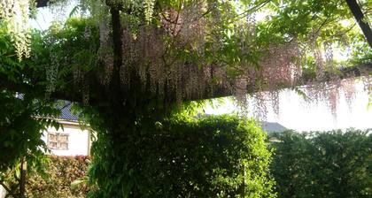 Il Pioppo e la Fonte