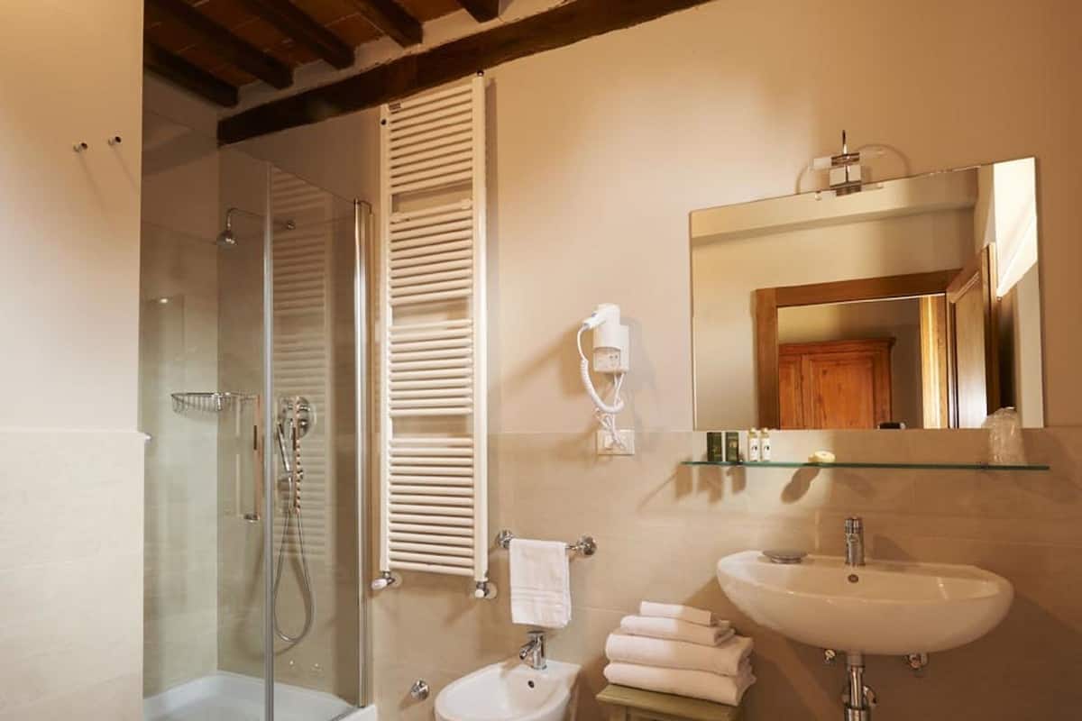 free toiletries, hair dryer, bidet, towels