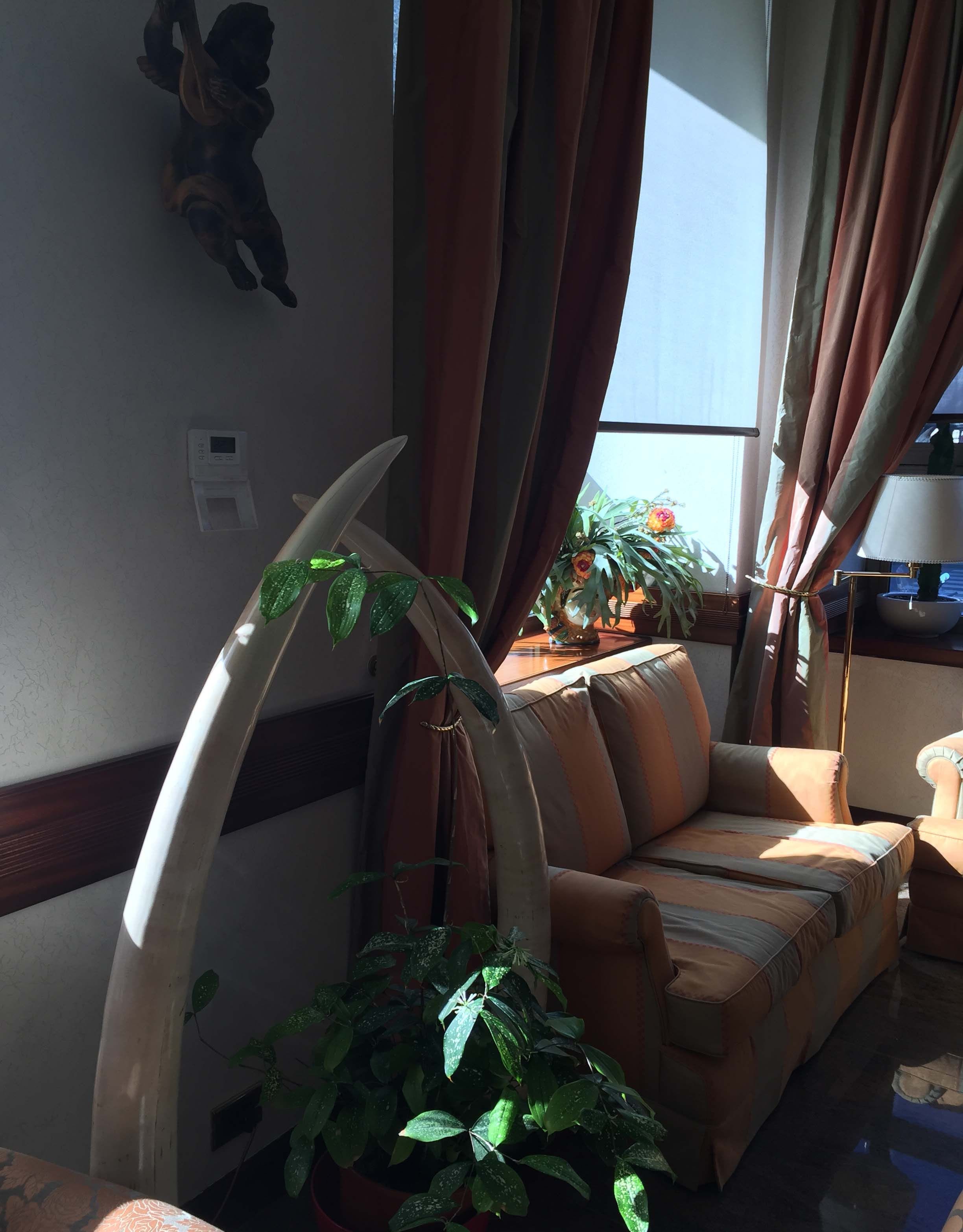 A living room with a sofa, a large plant, a wall-mounted clock, and a window with curtains.