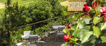 Hotel Torciano Vecchio Asilo